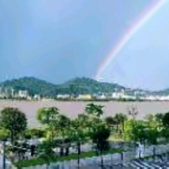 五阿哥