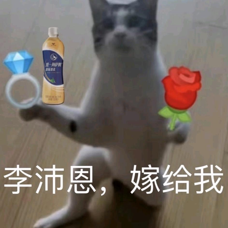 车银优老婆