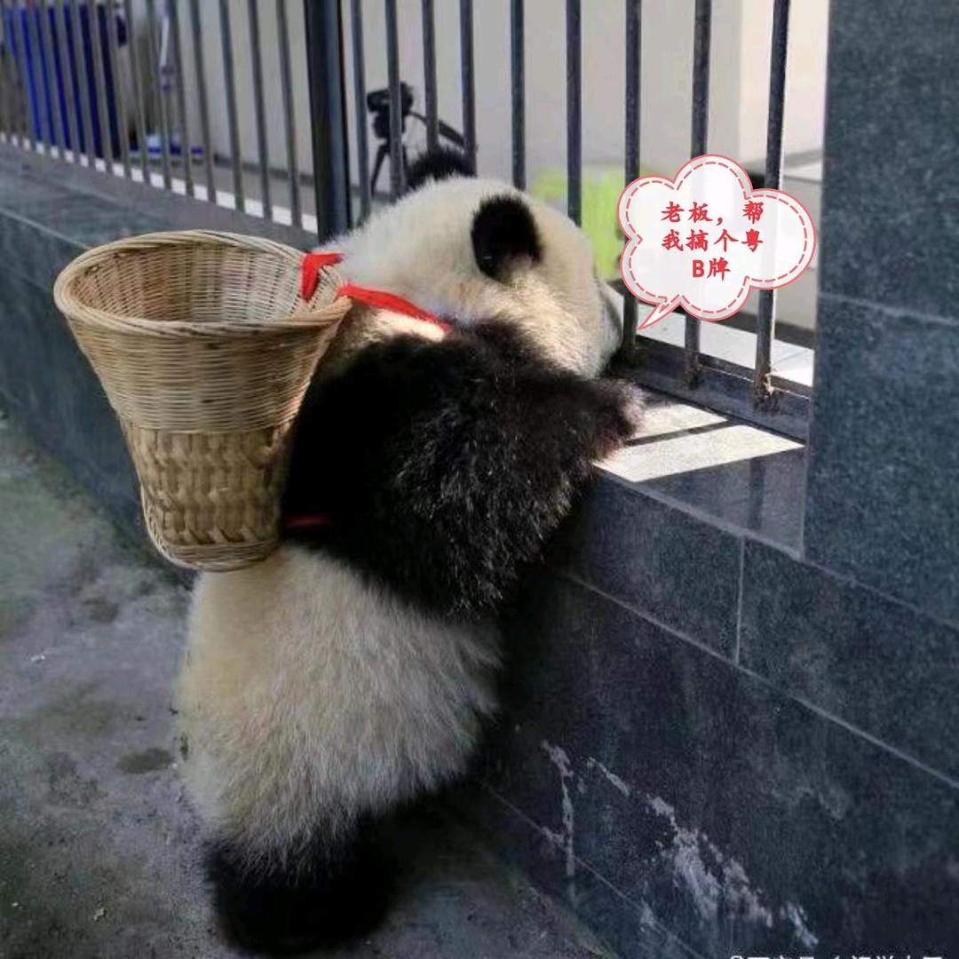 不知名钓手