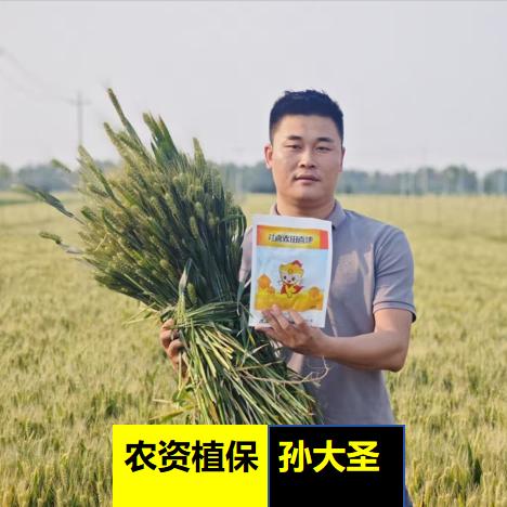 @农资植保孙大圣