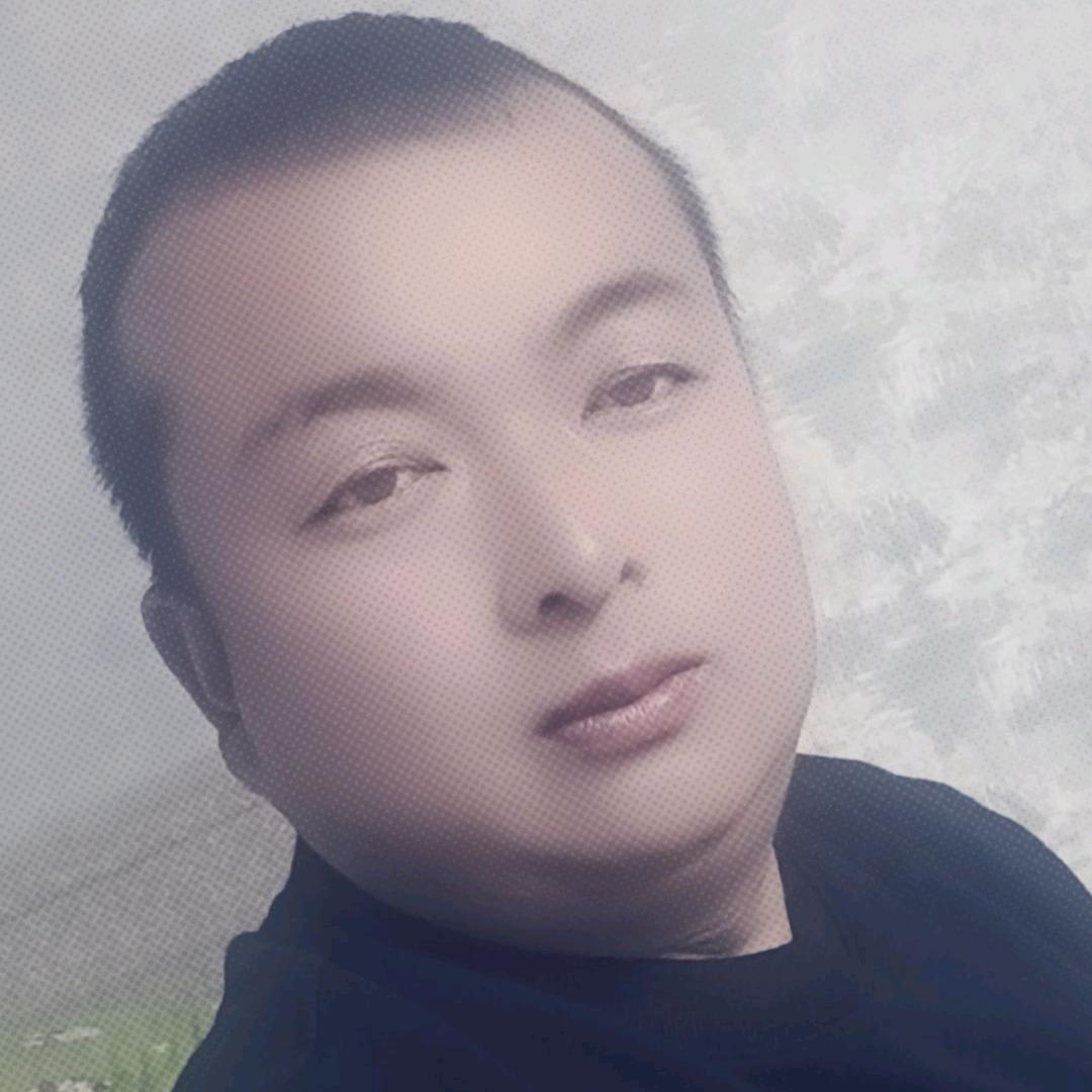 金涛