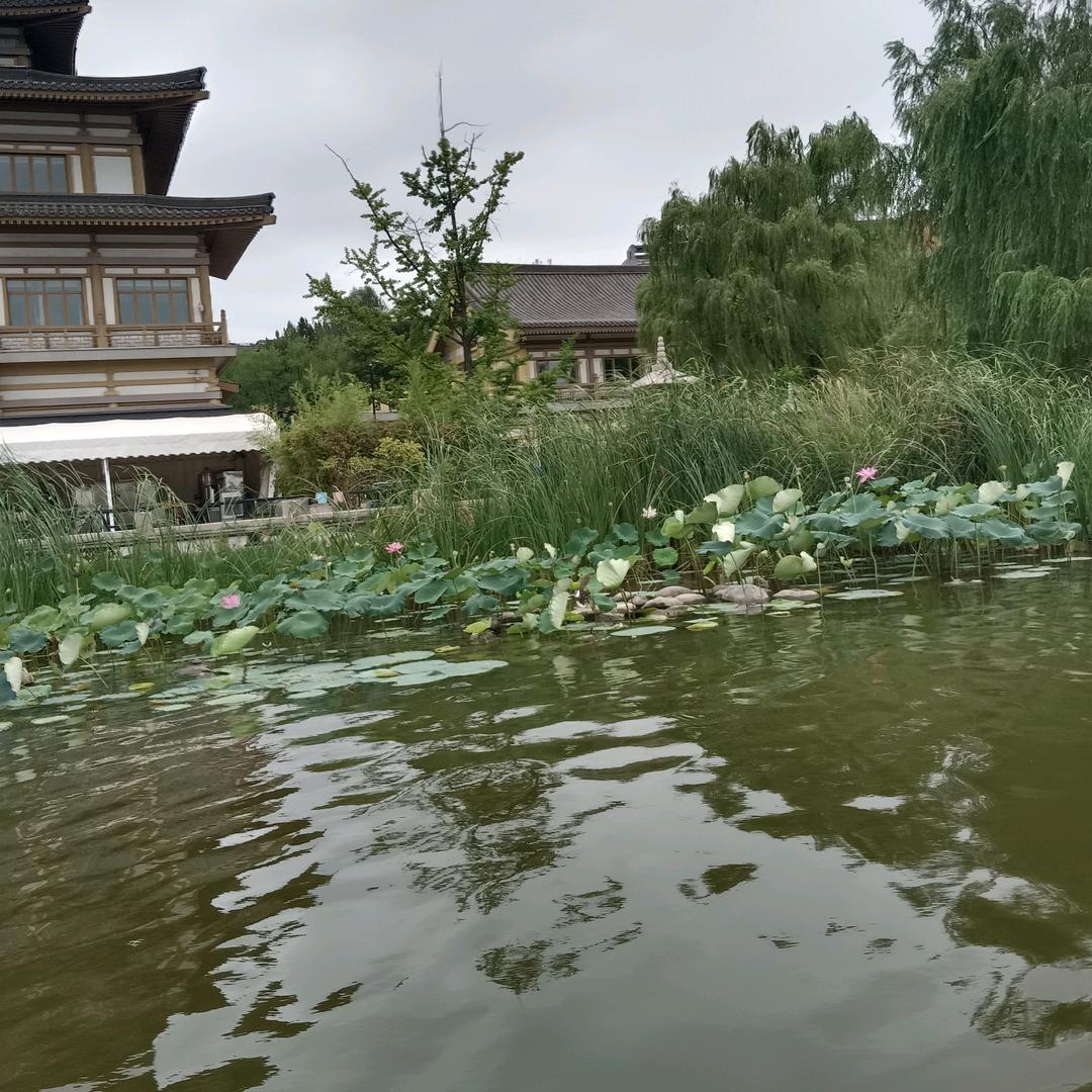 vxjshchjshxjajxxkhcj