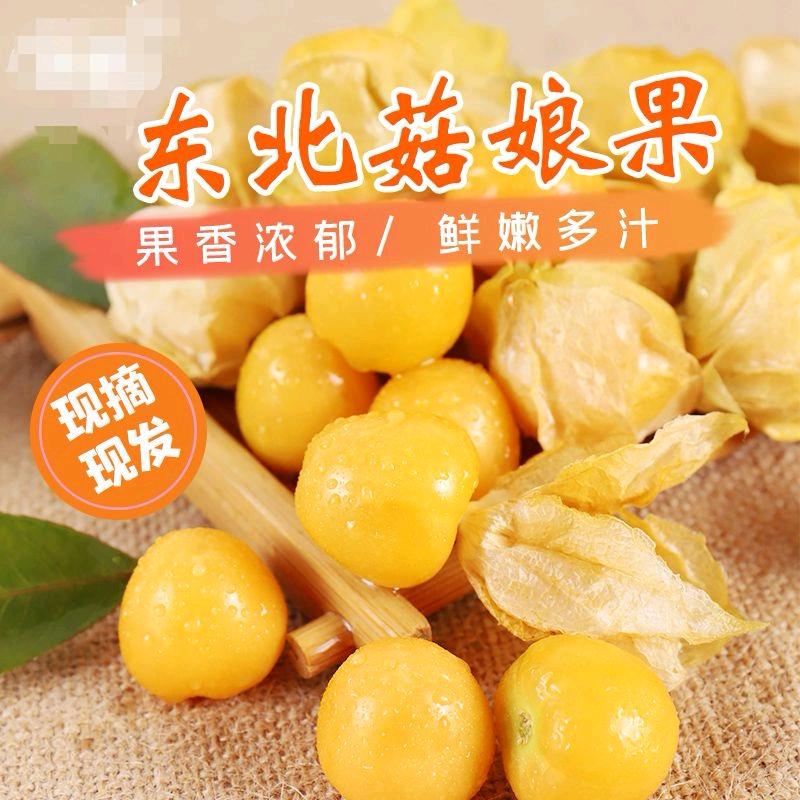 东北甄选菇娘果