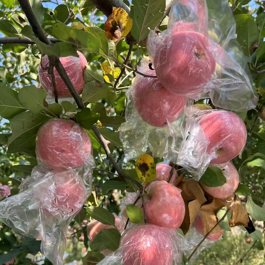 禹州市清晟家庭农场❤️