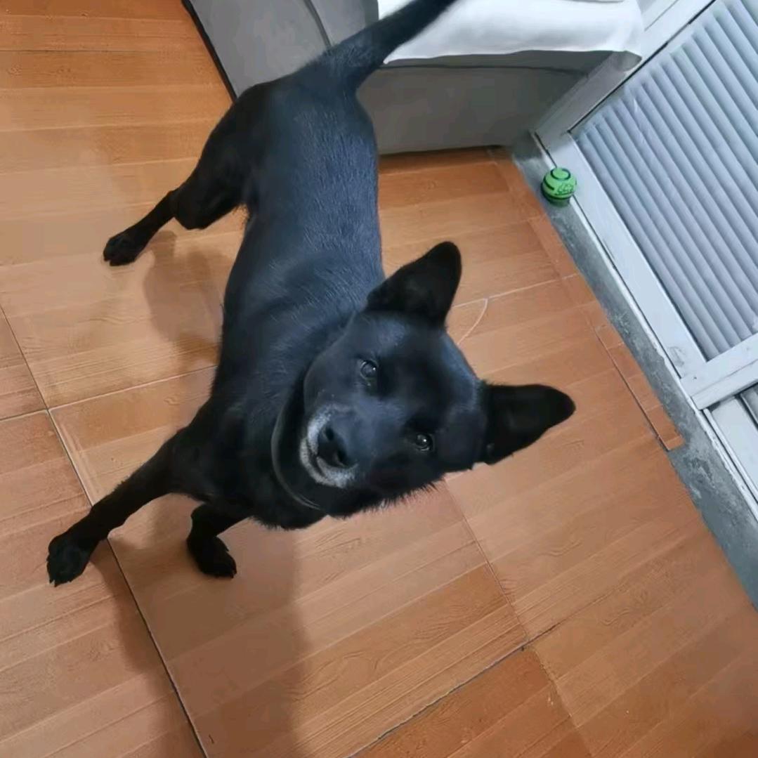 感悟