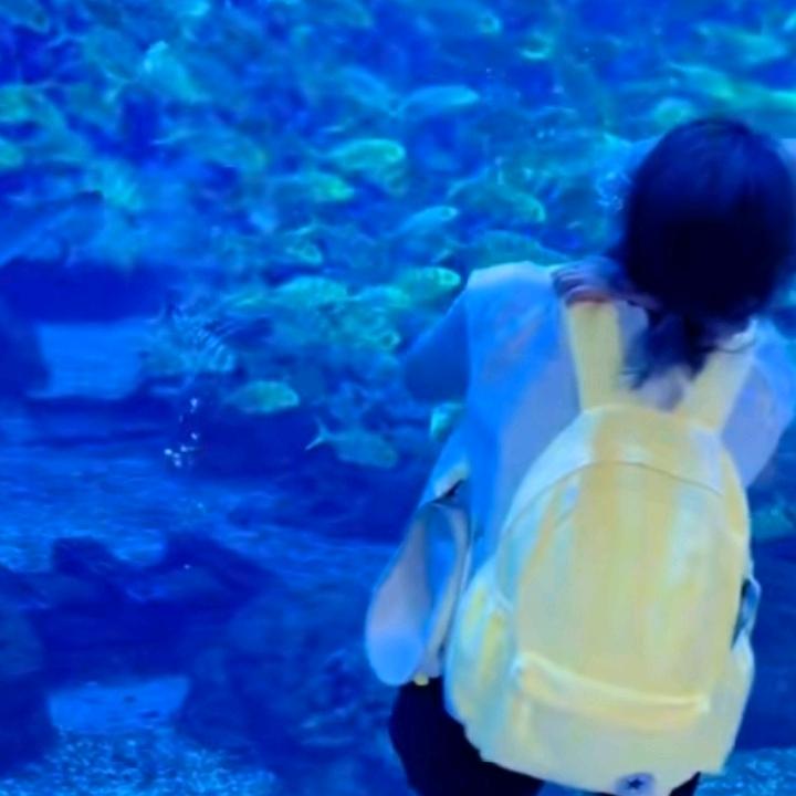 向往