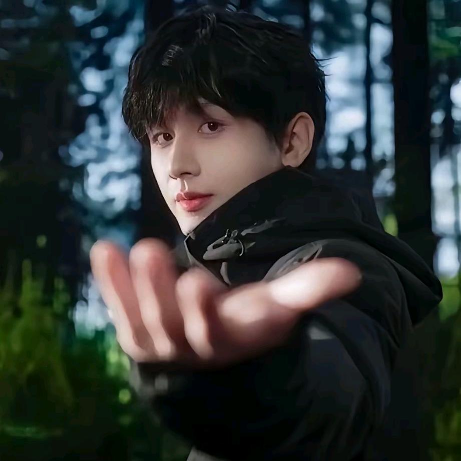 毅个爱财的果子