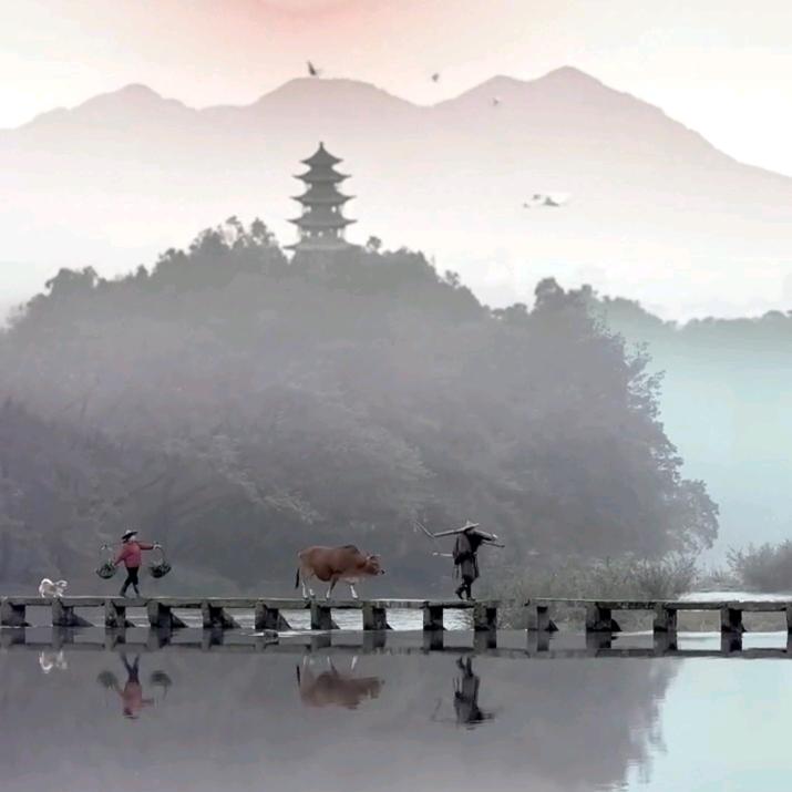 只有四块差五毛