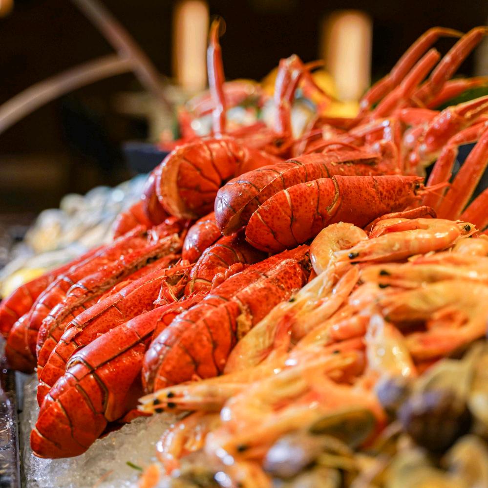 旅游美食探索官