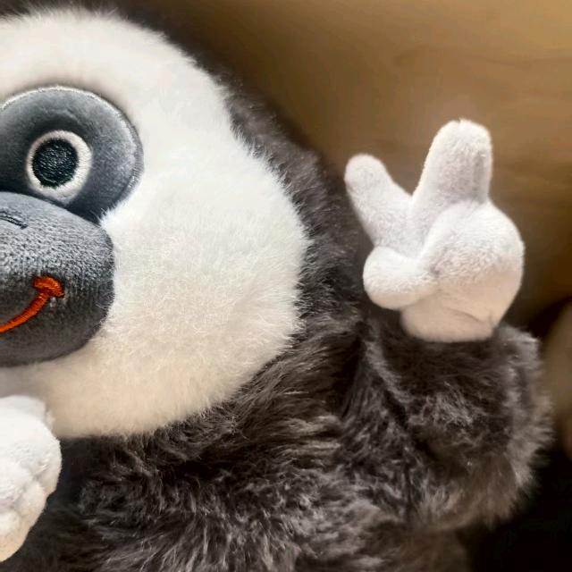 职教升学-昕老师