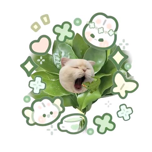 猫咪酱