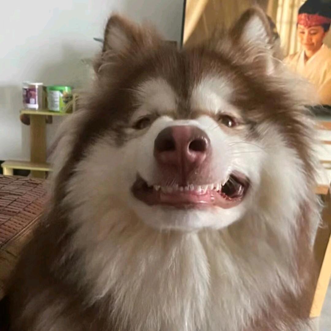 小秦1v4（接双系统）