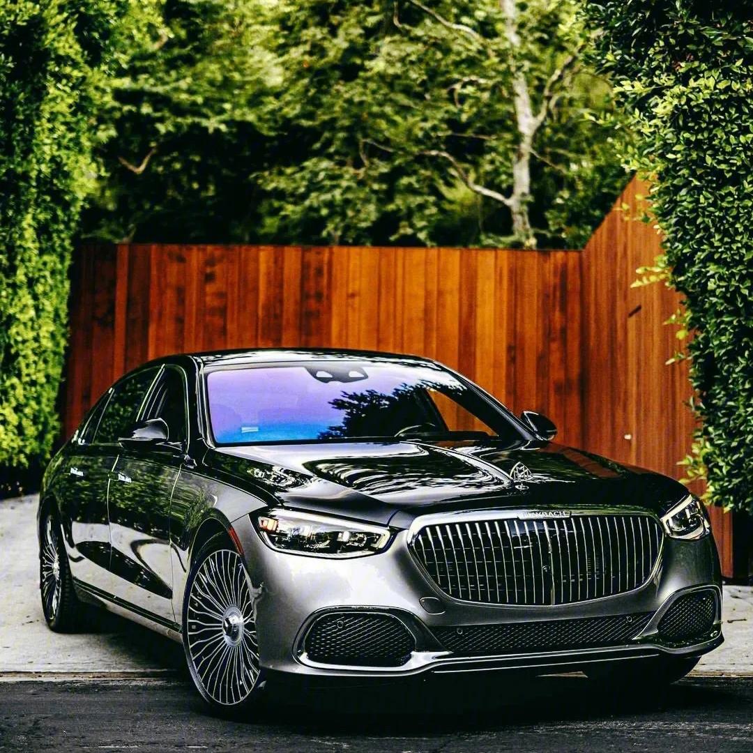 无人扶我青云志，我自踏雪至山巅