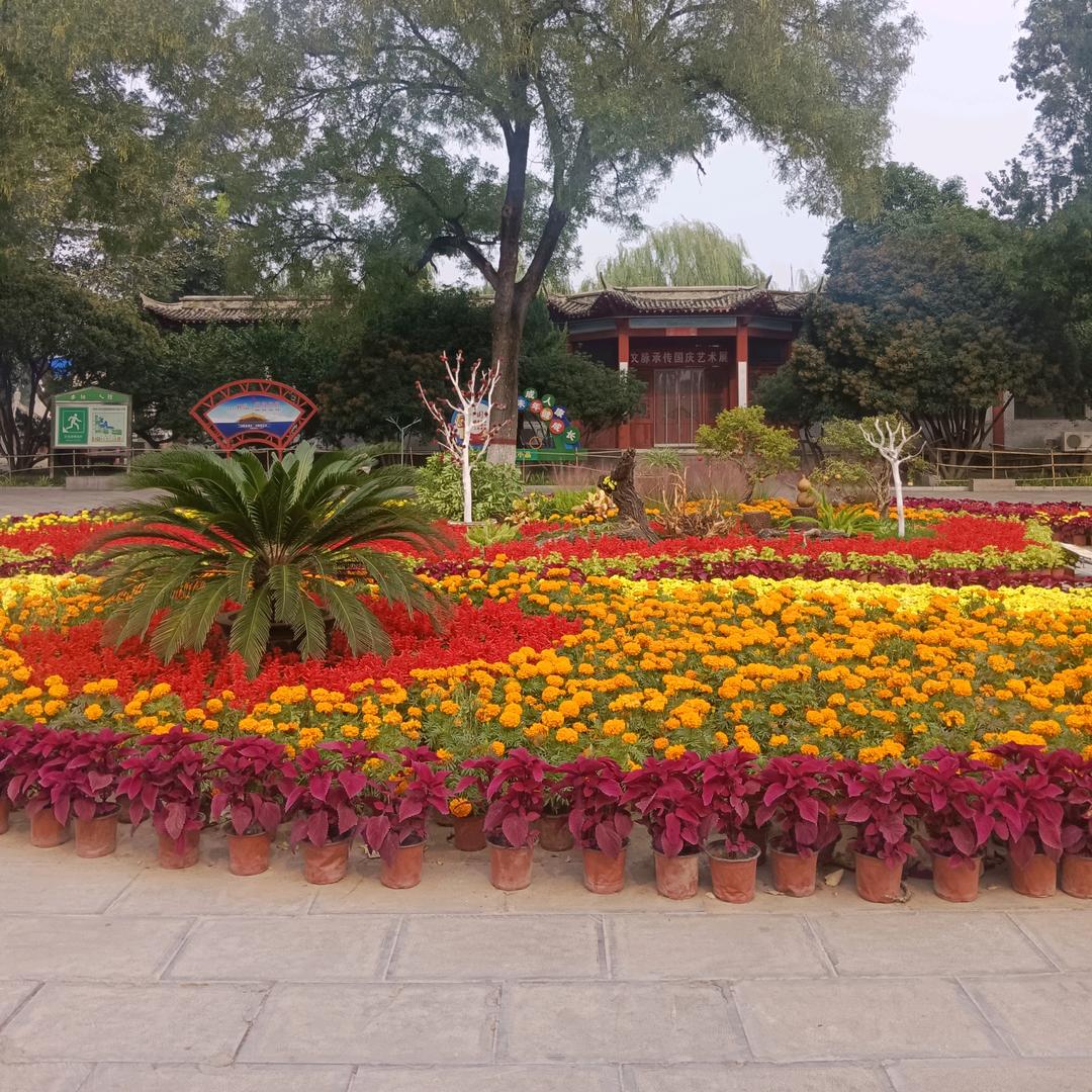 💕博你一笑💞