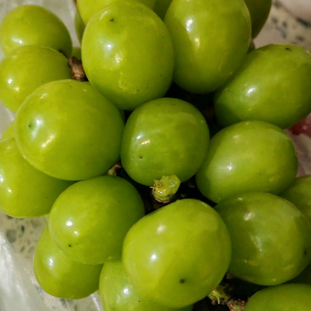 葡萄🍇