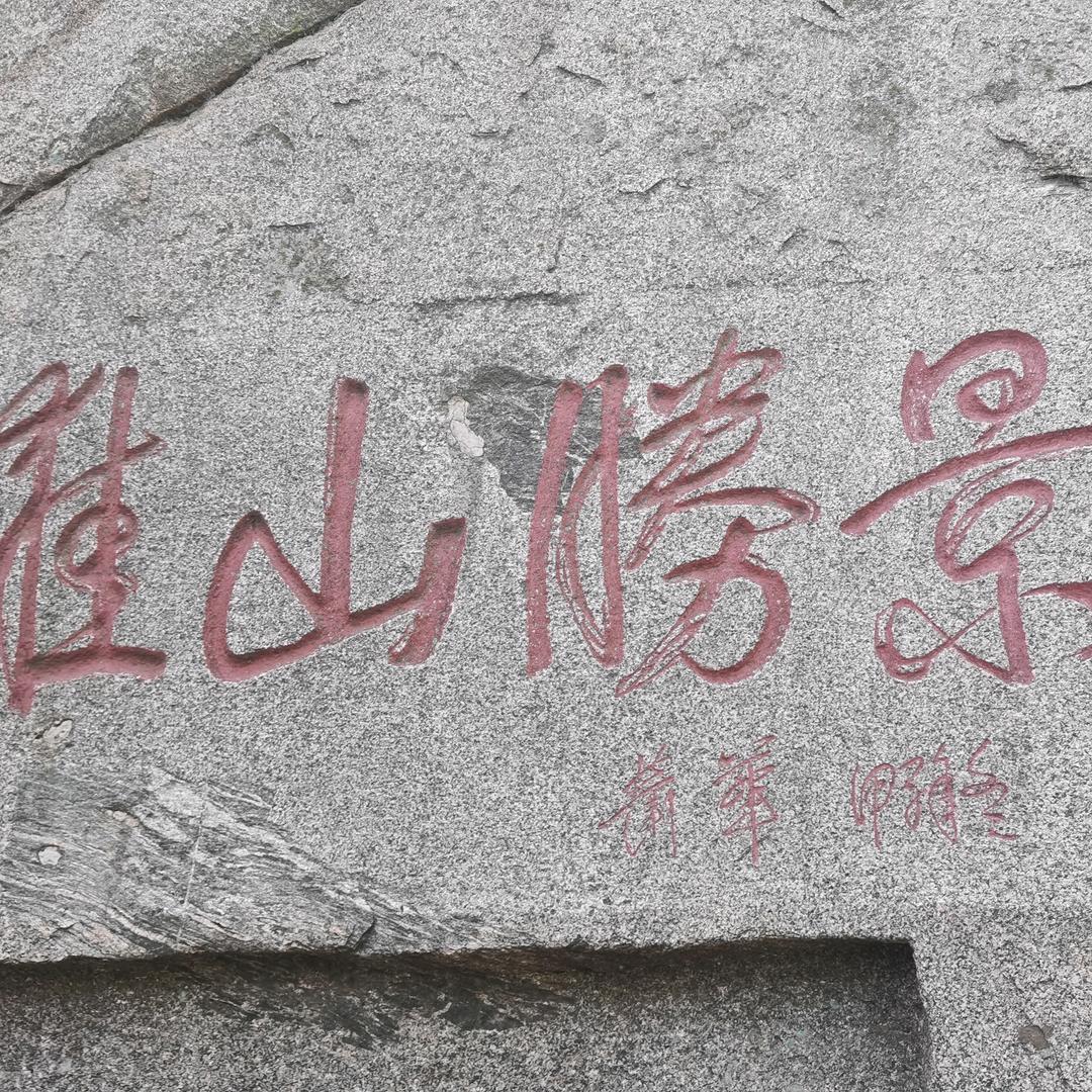 纯属娱乐798