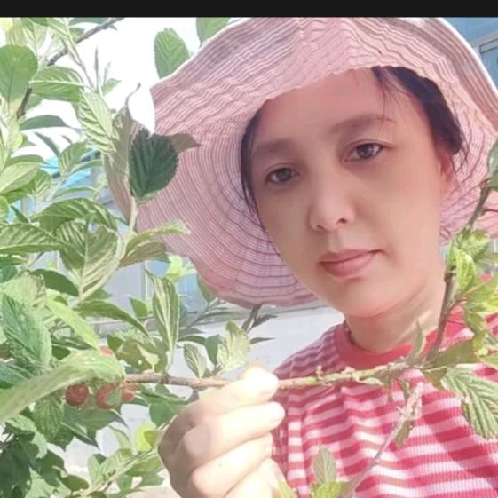 暖阳🎤（6点50首播）