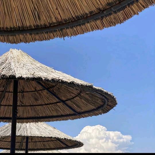 老金车辆业务