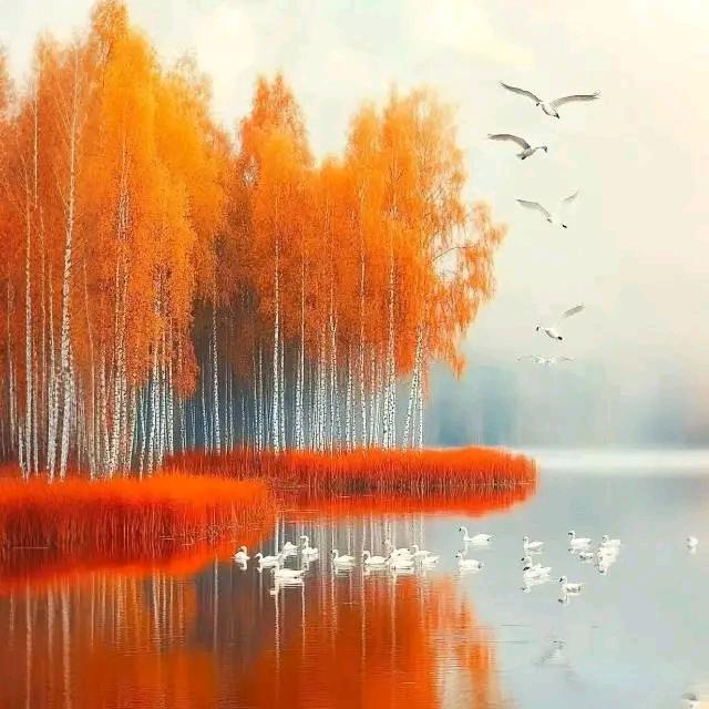 丽姐《拒绝私聊》