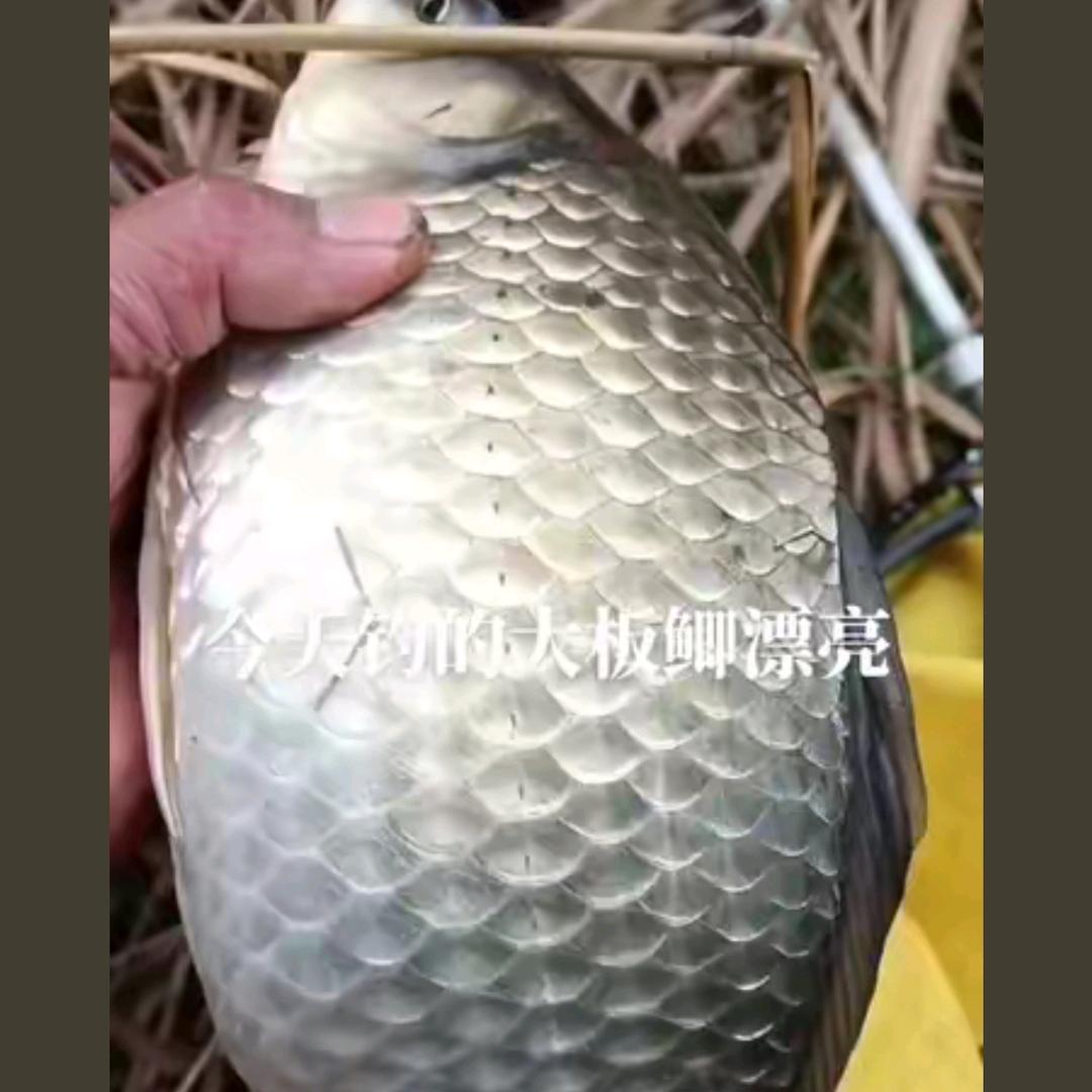 兵哥哥，