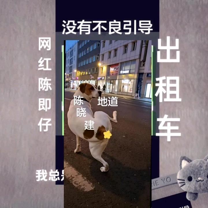 广告漫漫长夜占陇垾塘第一人跪岳父陈达胜求