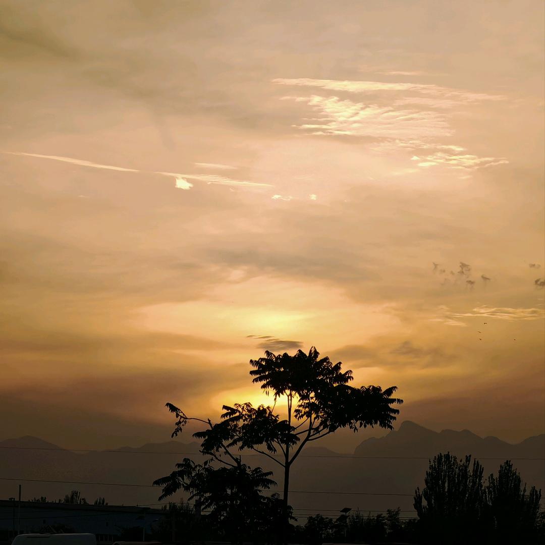 朗拿度💜🤍❤️