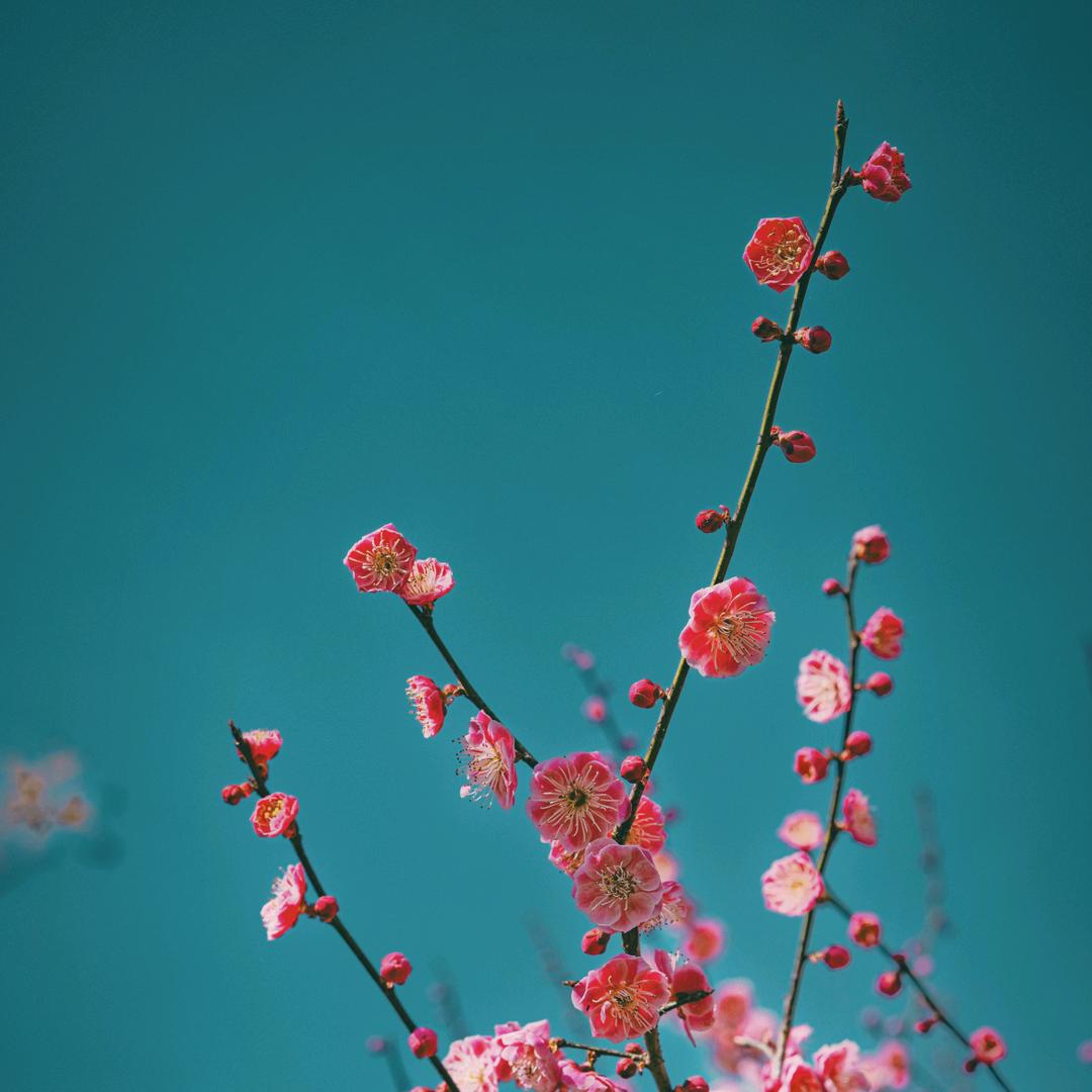 一起躺