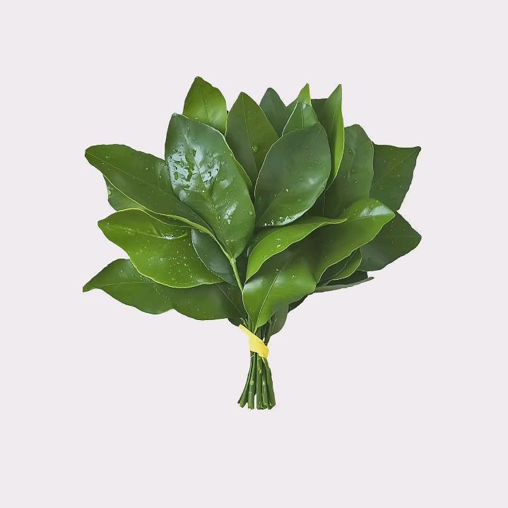 有欣Always love yourse