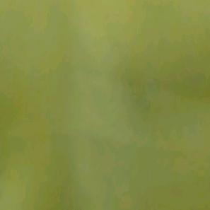 琉璃の璀璨、
