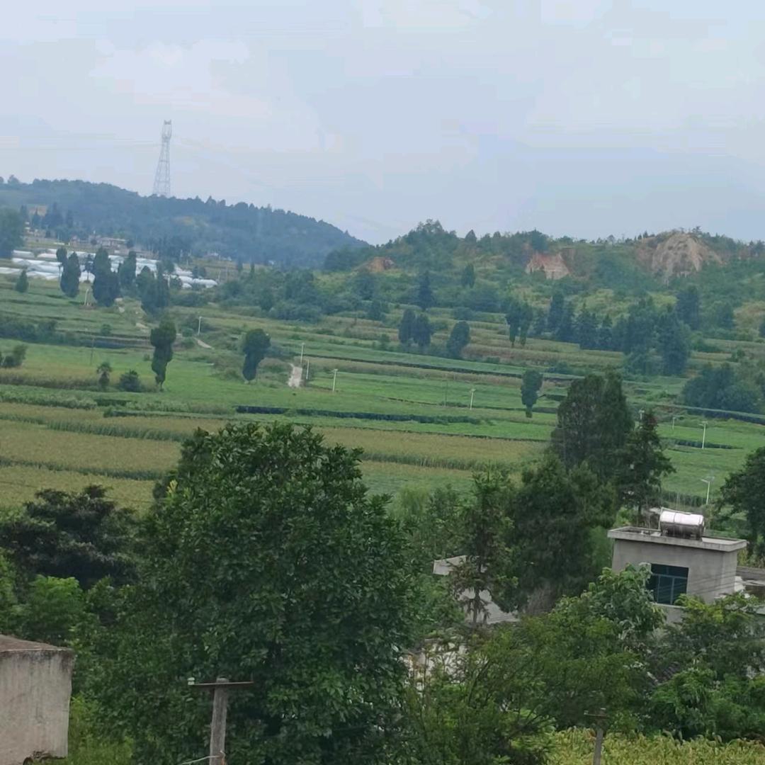 山村故事