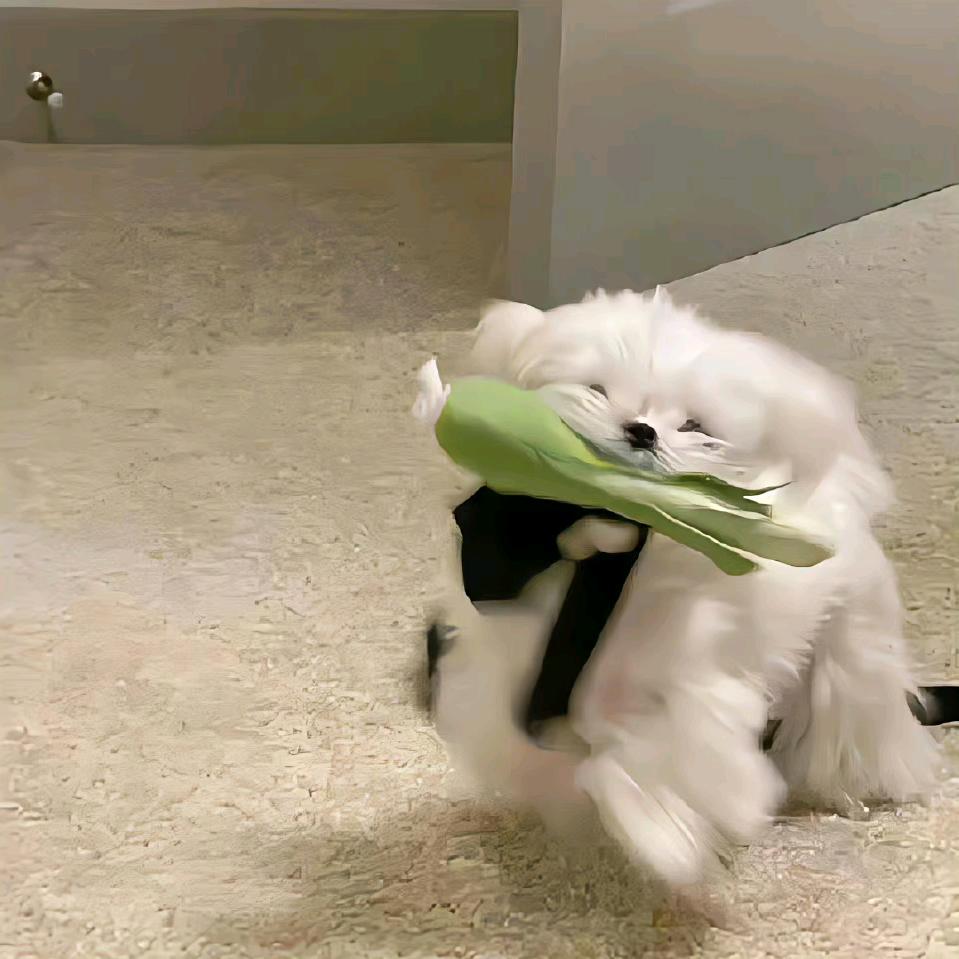 六陆七祺