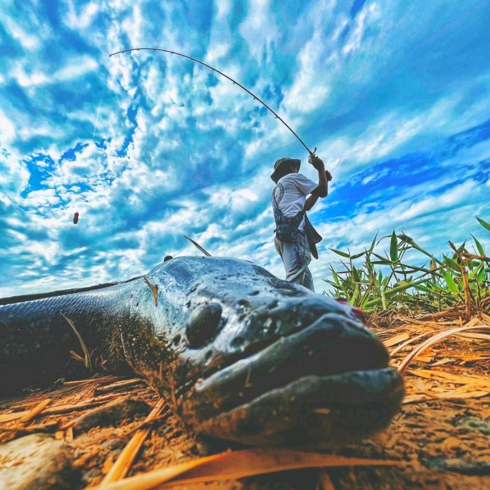 山语钓鱼🎣
