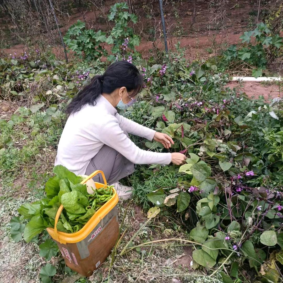 农村小表妹