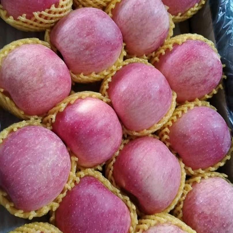 🥀এ᭄累了ꦿ谁💔疼ོ࿐ᩚ