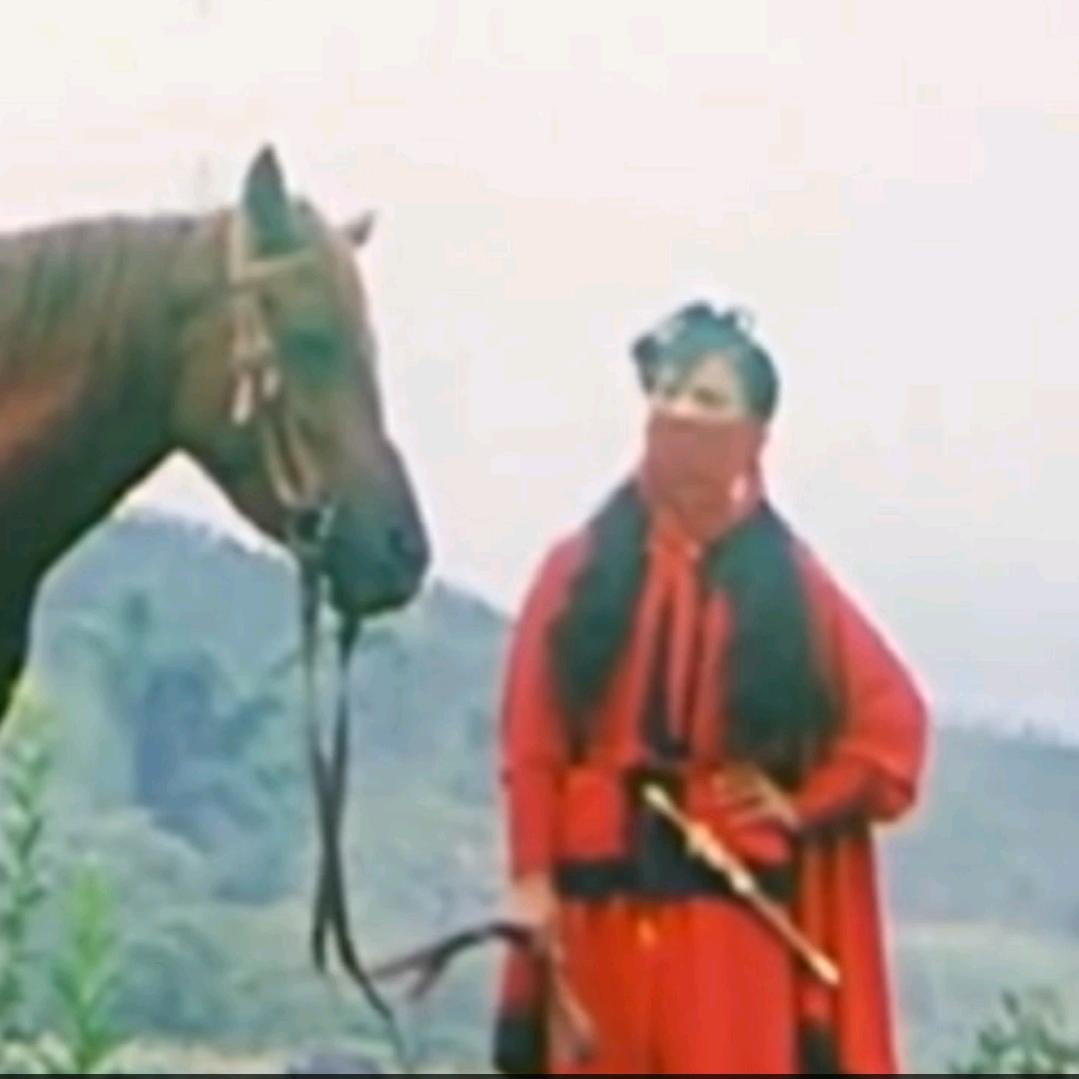 高山上的白合🌹🌹