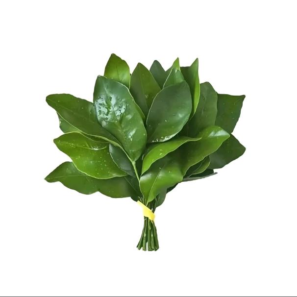 露念