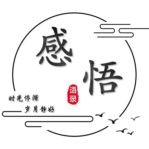 感悟语录