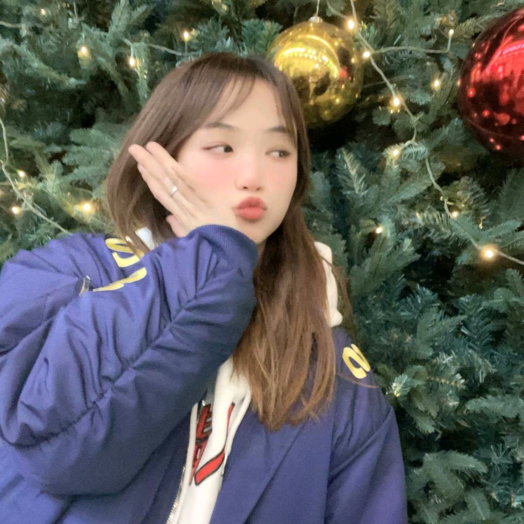 双子
