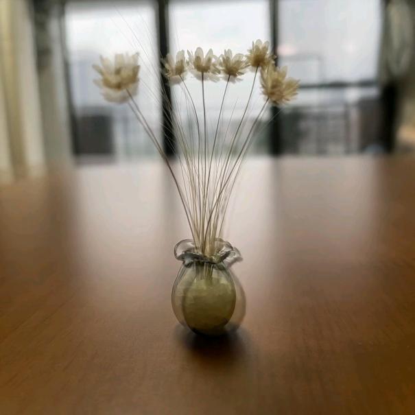 优佳超市(高地大街店)直播号