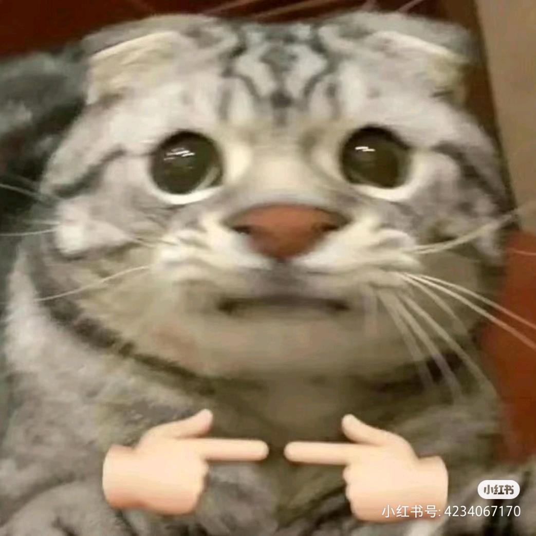 孤独的狼