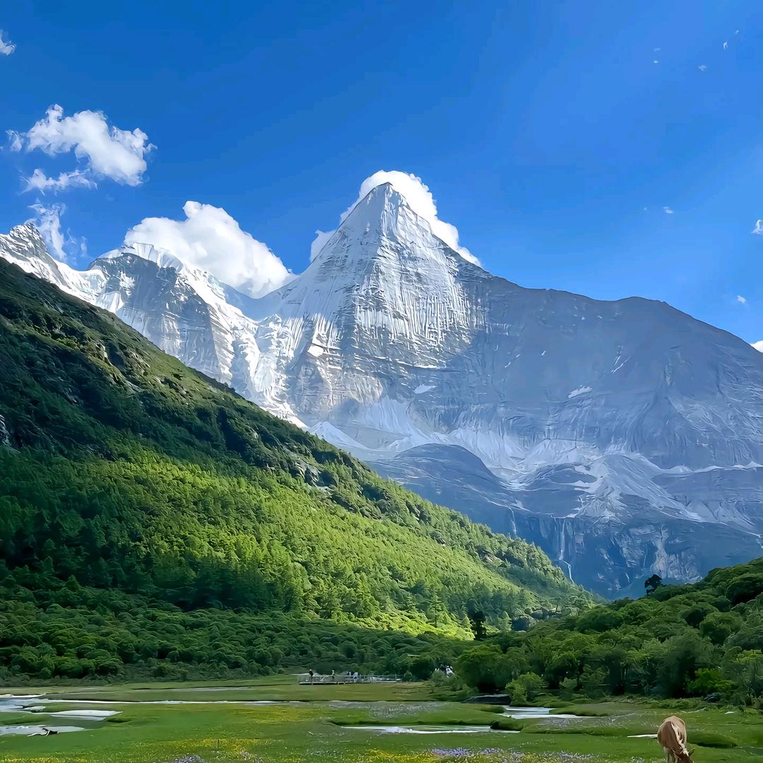 浙江吴国敏