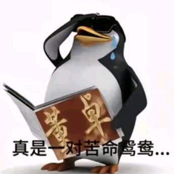 大大怪