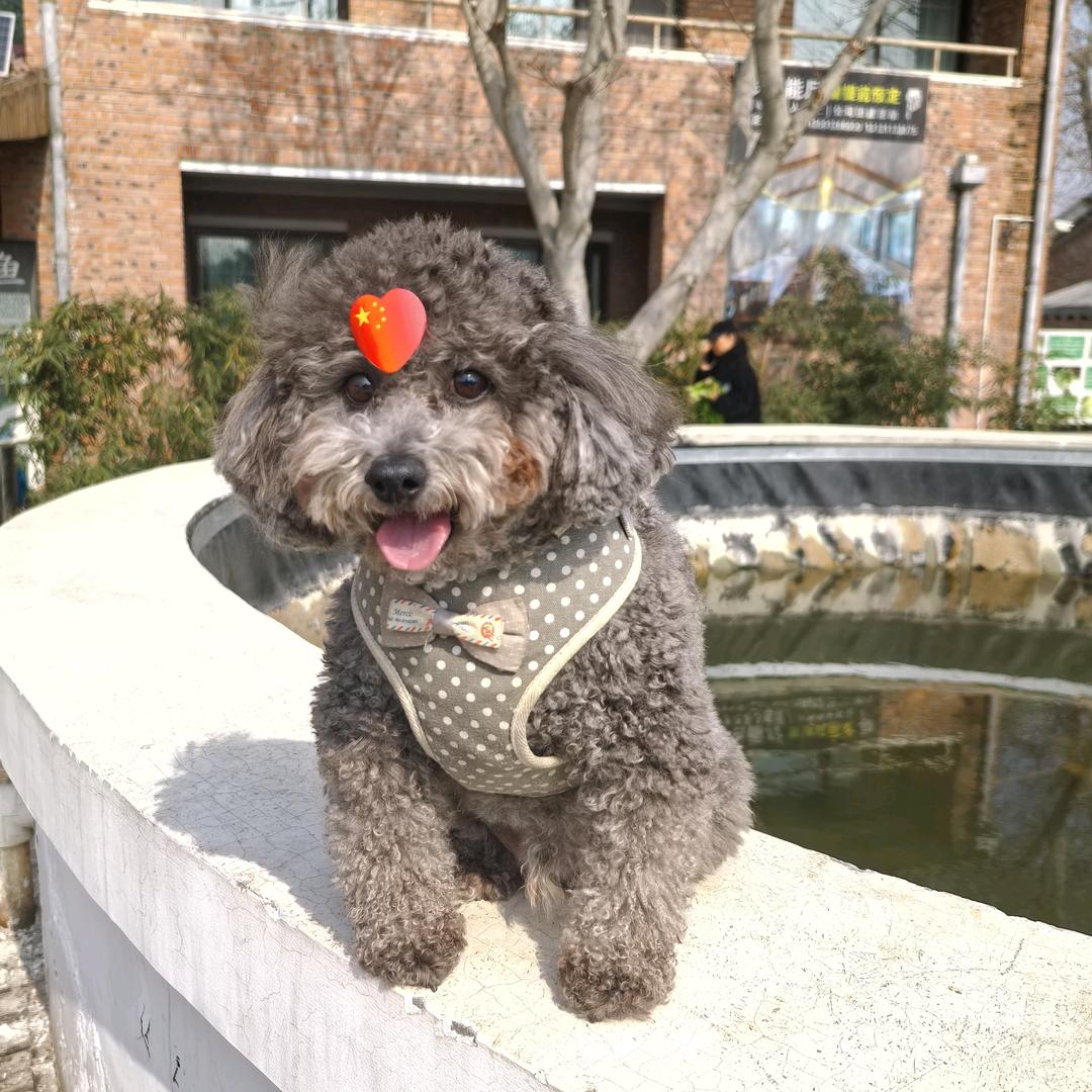 健康管家赵立众