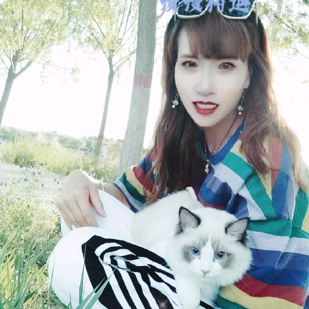 浮沉醉梦78年的马