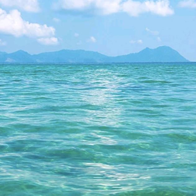 海棠无香🔥 ⁶¹⁷