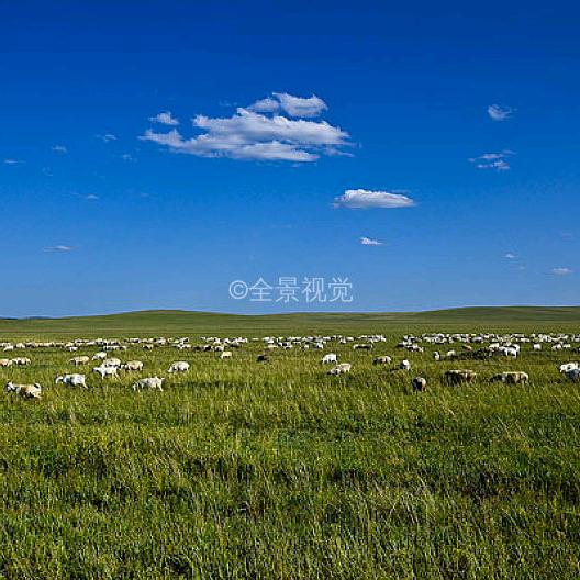 秦皇岛泽祥测绘服务有限公司