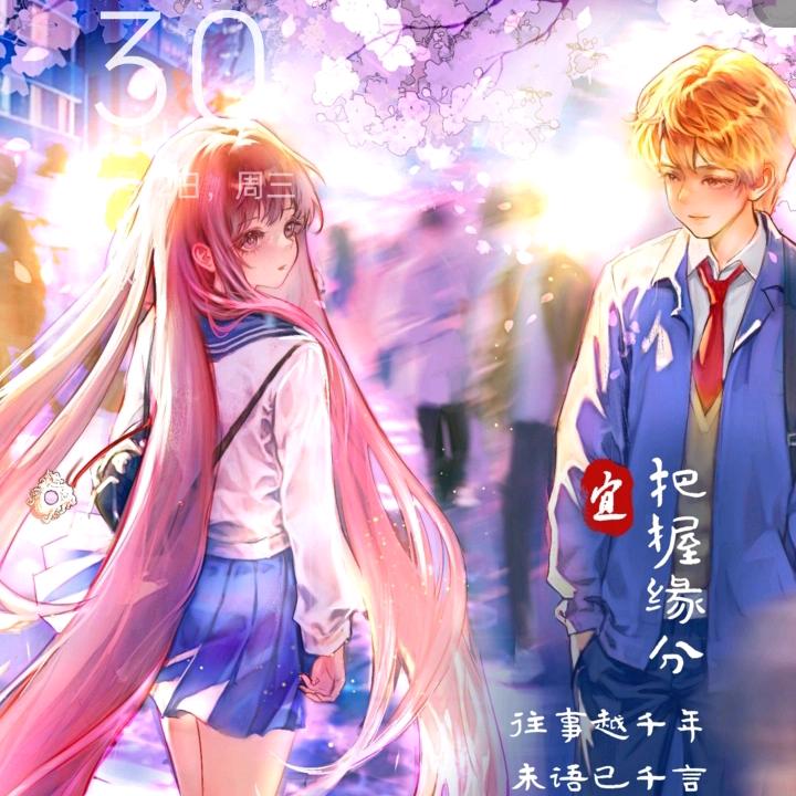 2025年运连连