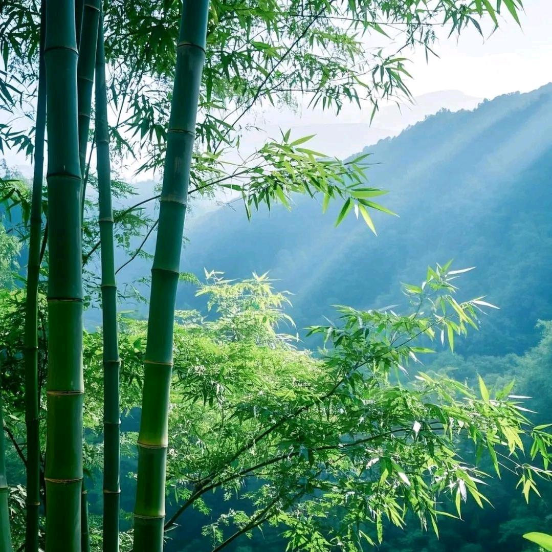 一吻执念