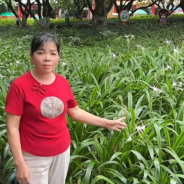 北流市耀雁百货店（个体工商户）