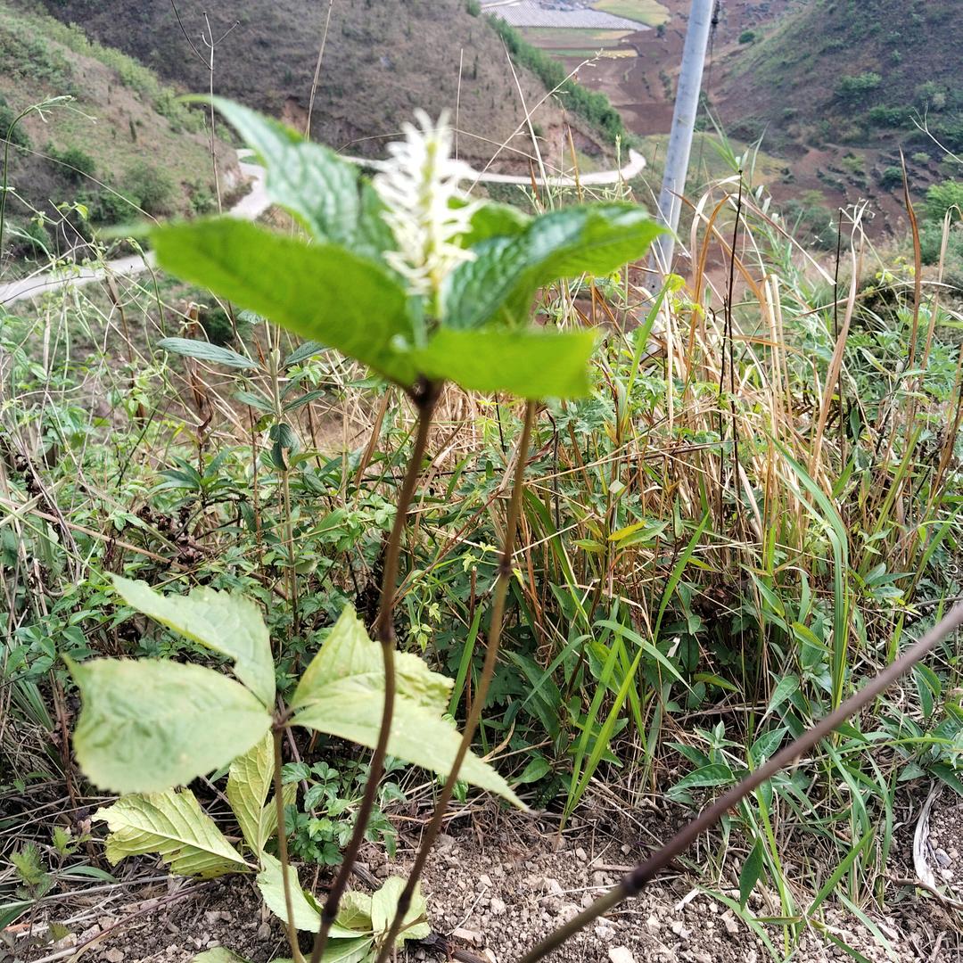 我的未来不是梦